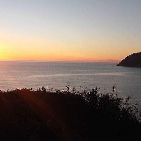Un Gioiello Con Vista Mare Βίλα Moneglia Εξωτερικό φωτογραφία