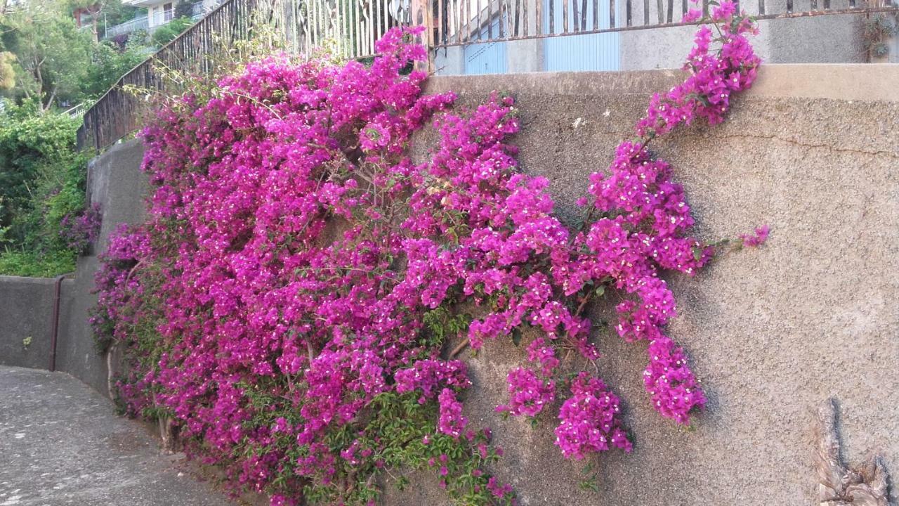 Un Gioiello Con Vista Mare Βίλα Moneglia Εξωτερικό φωτογραφία