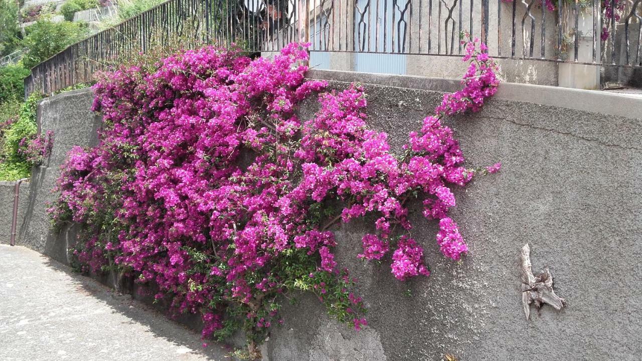 Un Gioiello Con Vista Mare Βίλα Moneglia Εξωτερικό φωτογραφία